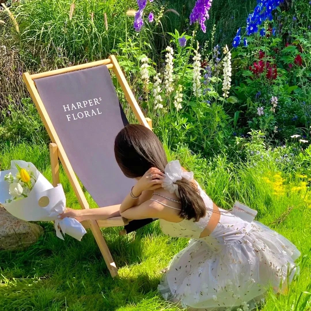 聊斋新编之婴宁